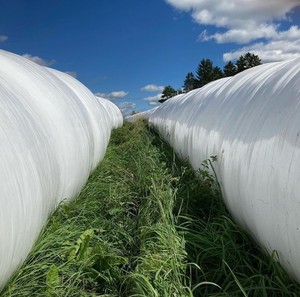 9ft and 10ft silage bag(2.7m x 60m/75m and 3.0m x 60m/75m)
