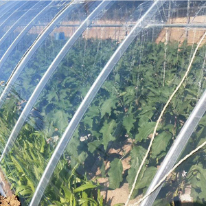 PO Greenhouse Film